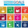 SDGs（Sustainable Development Goals）に関する一考